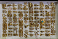 Anti-Tarnish 18K Gold PVD Plated Set of 100 Assorted Adjustable Finger Rings Box